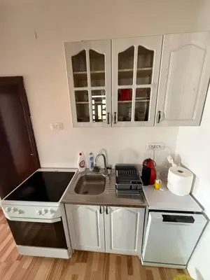 a small kitchen with white cabinets and a sink at Large Three-Bedroom Apartment 2 Min from Airport in Podgorica