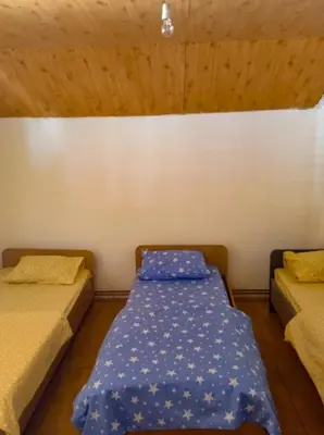 a bedroom with two beds with blue sheets on it at Vila Natalija in Podgorica