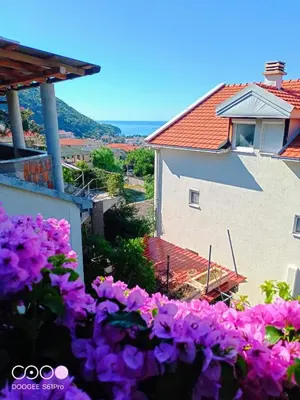 a view of a house with purple flowers at Bugenvilija in Budva