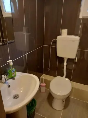 a bathroom with a toilet and a sink at Bugenvilija in Budva