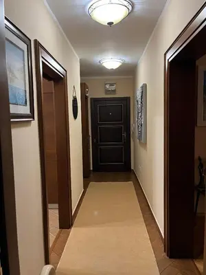 a hallway with a black door and a carpet at Apartman Nina in Kotor
