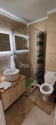 a bathroom with a toilet and a sink and a shower at Tomopet Apartment in Petrovac na Moru