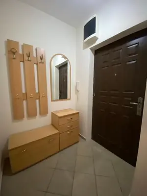 a bathroom with a brown door and a mirror at Apartman Filip in Podgorica