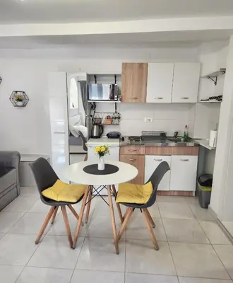 a kitchen with a table and chairs in a kitchen at Apartment Marina in Kotor