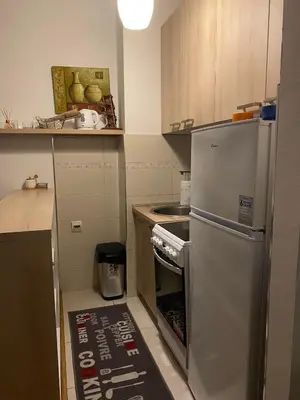a small kitchen with a refrigerator and a sink at Delta Apartman in Podgorica
