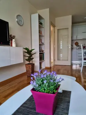a pink flower pot sitting on a table in a living room at Riverside Apartment in Podgorica