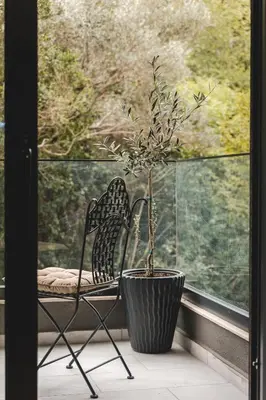 a potted plant sitting next to a chair on a window at ZAFIRO SPA & RESIDENCE in Budva