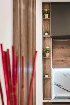 a shelf with potted plants on a wall at ZAFIRO SPA & RESIDENCE in Budva