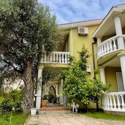 Villa Green Olive Bar