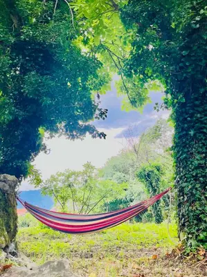a red hammock hanging between two trees in a field at Old wine in Virpazar