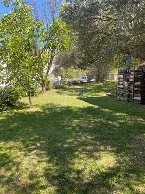 a field of grass with a tree and a building at Apartman Elena in Ulcinj
