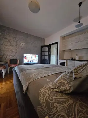 a bedroom with a large bed and a kitchen at Studio Place 8 in Podgorica