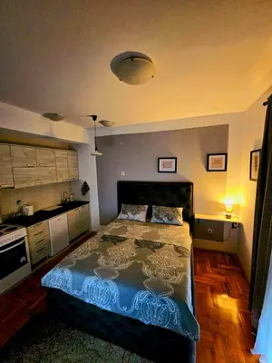 a bedroom with a large bed in a room at Studio Place 8 in Podgorica