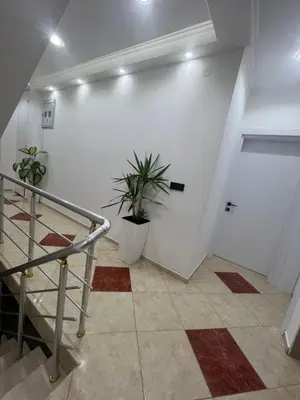 a hallway with a staircase and a potted plant at Keno & Keon in Ulcinj