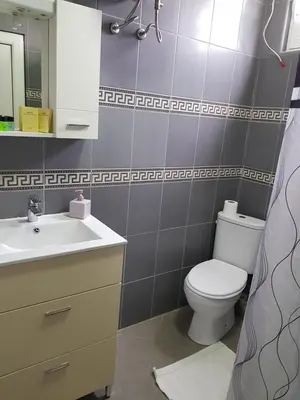 a bathroom with a toilet and a sink at Apartments Bulatović in Bar