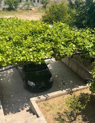 a car parked in a parking lot under a tree at Duraku Apartment in Ulcinj