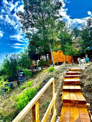 a dog standing on top of a wooden path at Peaceful Oasis in Ulcinj