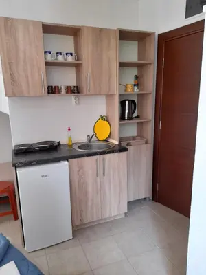 a kitchen with a sink and a counter top at Apartmani Jacimovic in Čanj