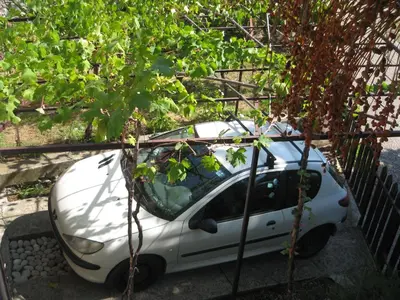 a white car parked next to a fence at Vesela vila in Sutomore