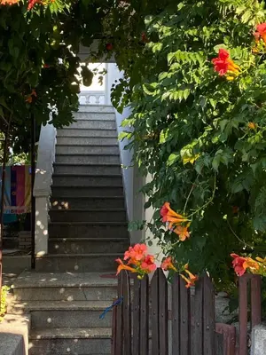 a set of stairs with red flowers and a fence at Vesela vila in Sutomore