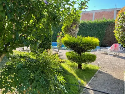 a garden with a small tree and bushes at 3 Bedroom Apartment with pool in Čeluga