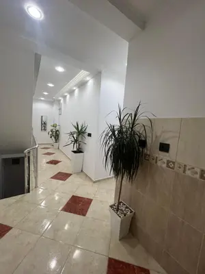 a hallway with two potted plants in a building at K&K Apartments 1 in Ulcinj