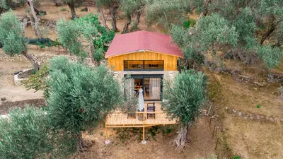 an aerial view of a house on a hill at Olive Treasure in Ulcinj