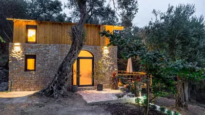 a stone house with a tree in front of it at Olive Treasure in Ulcinj