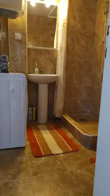 a bathroom with a sink and a toilet and a shower at FLAT FOR RENT MARINOVIC in Budva