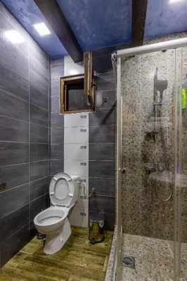 a bathroom with a toilet and a shower at Lotos Luxury House - Skadar Lake in Virpazar