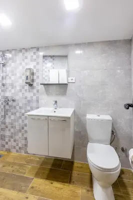 a bathroom with a white toilet and a sink at Lotos Luxury House - Skadar Lake in Virpazar