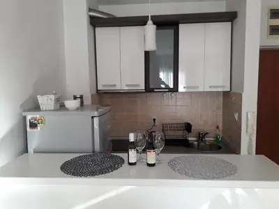 a kitchen with a refrigerator and two bottles of wine at Flat Iva in Podgorica
