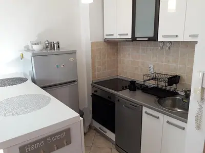 a small kitchen with a sink and a refrigerator at Flat Iva in Podgorica