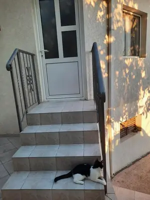 a black and white cat sitting on the steps of a house at Милый гостевой апартамент in Bar