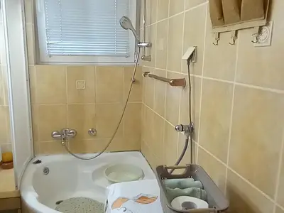 a bathroom with a tub and a shower with a toilet at Apartment Navigator's lodging in Kotor