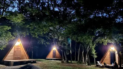 a group of three tents in a forest at night at Private Camp - Wolf & Sheep - 4 bungalows- 8 person in Podgorica