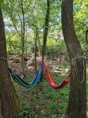 two hammocks hanging between two trees in a forest at Private Camp - Wolf & Sheep - 4 bungalows- 8 person in Podgorica
