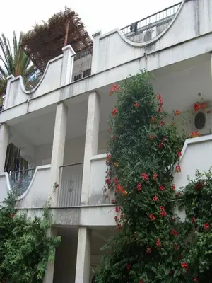 a building with a bush with red flowers on it at Apartments Ivanišević in Kotor