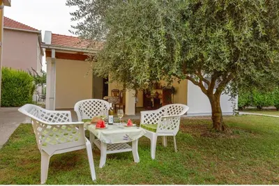 three chairs and a table in front of a tree at Apartman Maslina in Podgorica