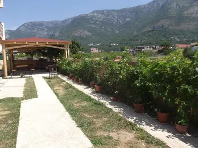 a row of plants in a garden with mountains in the background at Apartmani Stojanović in Sutomore