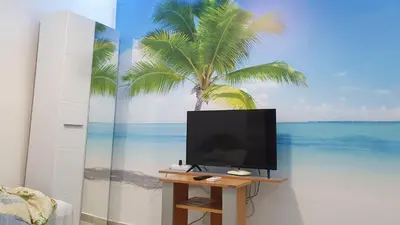 a tv sitting on a table with a palm tree mural at Mini Candy central location Bečići in Becici