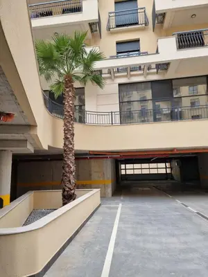a palm tree in a parking lot in front of a building at Fantastic new centre apartment in Podgorica