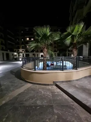 two palm trees in front of a building at night at Fantastic new centre apartment in Podgorica