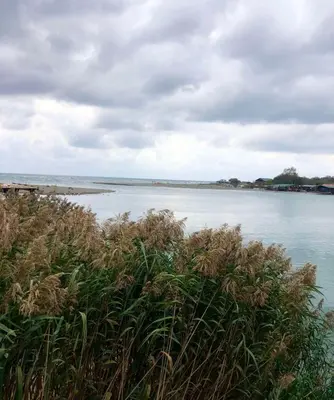 a view of a body of water with grass at Masa L13 Stasa L14 in Ulcinj