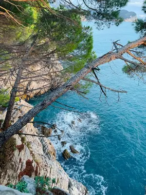 a view of the ocean from a cliff with trees at Просторная квартира в Петровце с видом на море in Petrovac na Moru