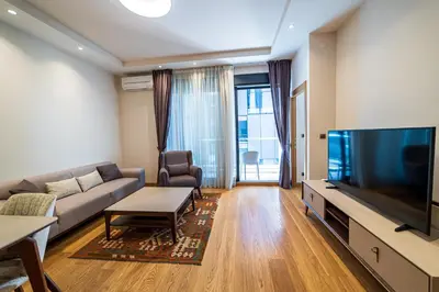 a living room with a couch and a flat screen tv at Elite apartments Podgorica in Podgorica