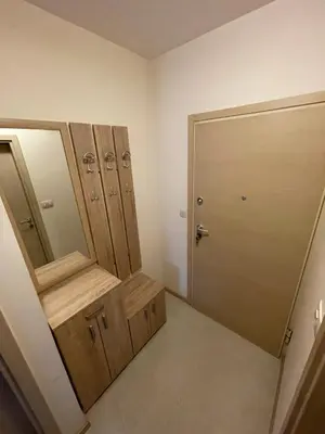 a bathroom with wooden cabinets and a mirror and a door at Apartment CK in Podgorica