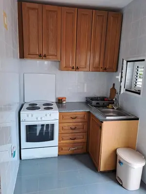 a kitchen with a white stove and a sink at Villa Peonia in Sutomore