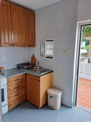 a small kitchen with a sink and a stove at Villa Peonia in Sutomore
