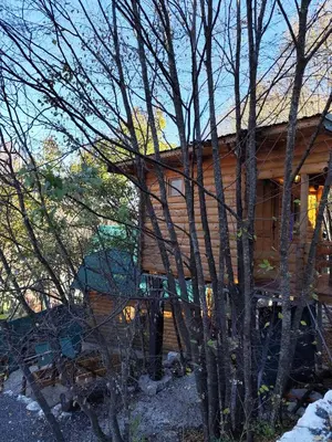 a wooden house with trees in front of it at Still cabin in Cetinje